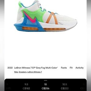Men’s size 10 le Bron witness 7 dog grey multi colour